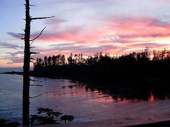Bed & Breakfast Reef Point Oceanfront Ucluelet