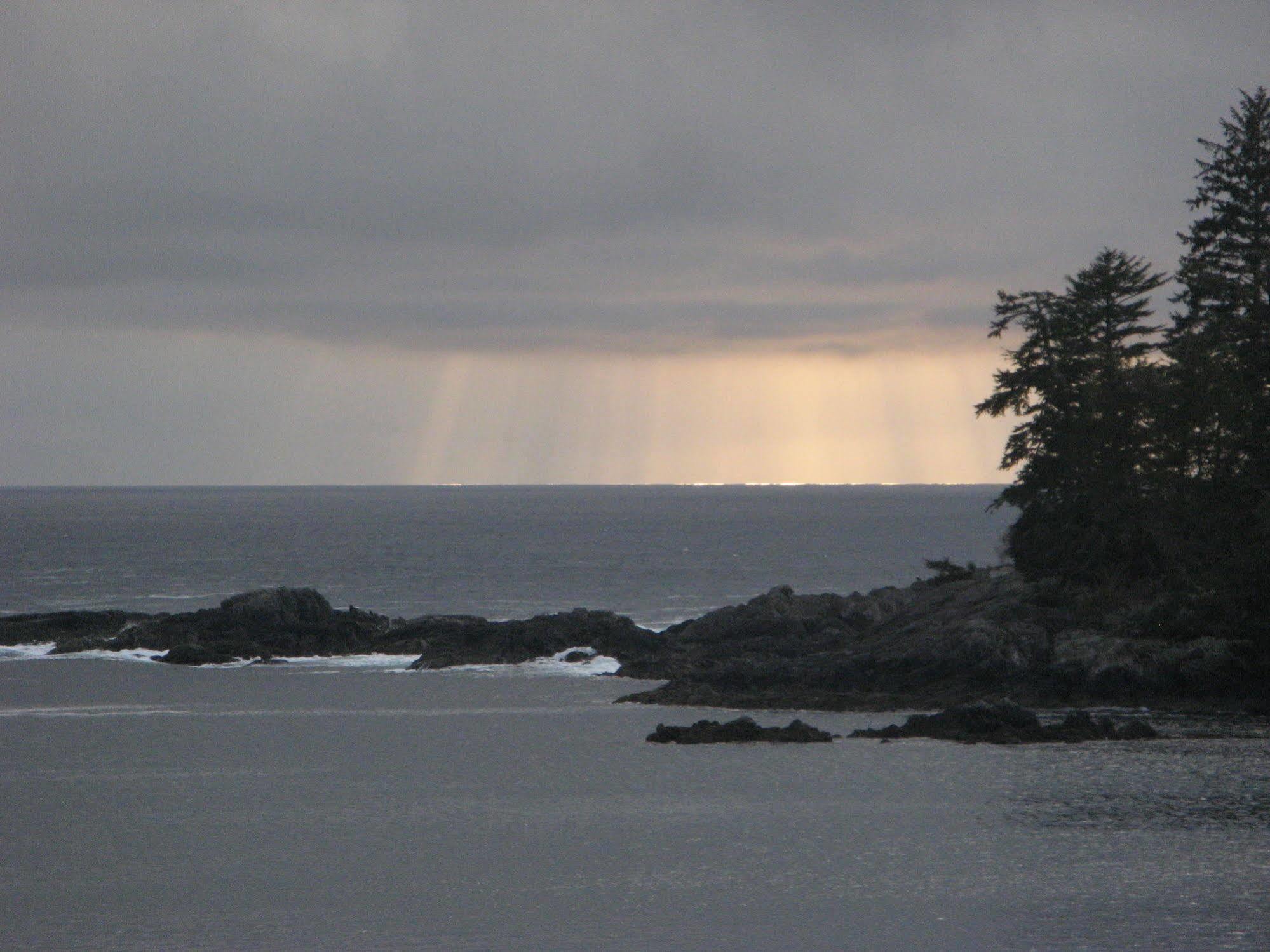 Reef Point Oceanfront